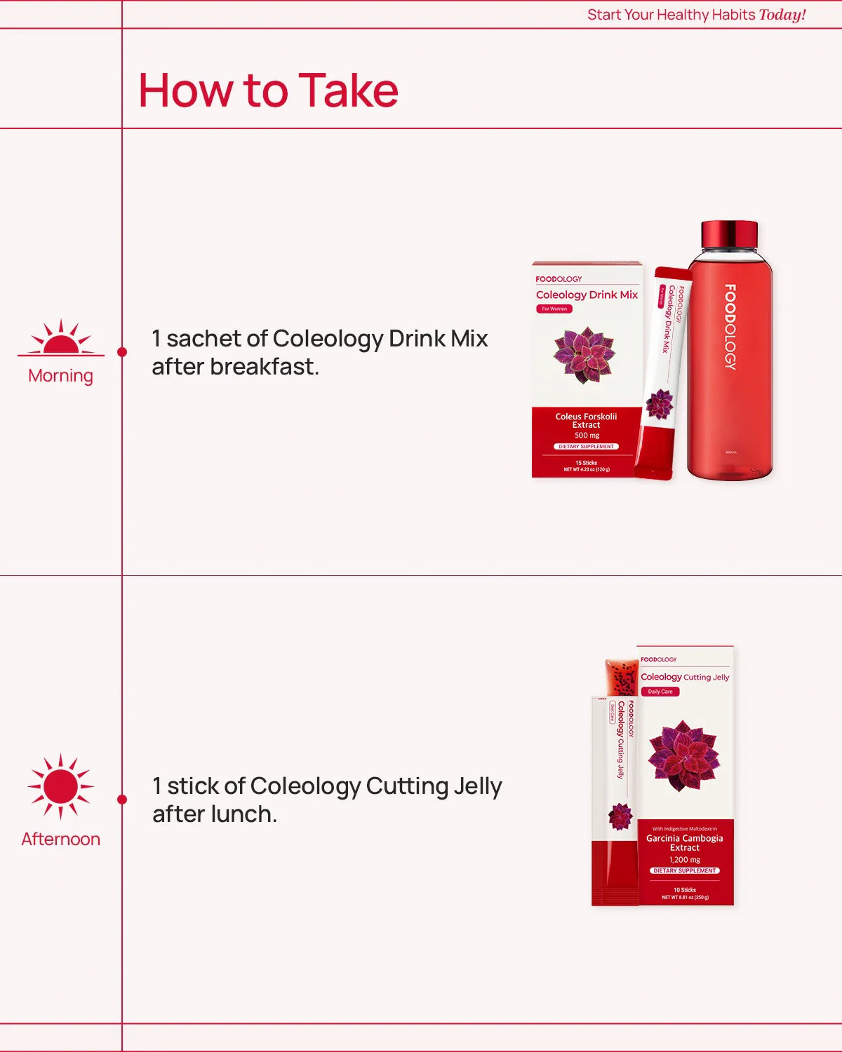 10-DAY Starter’s Diet Kit