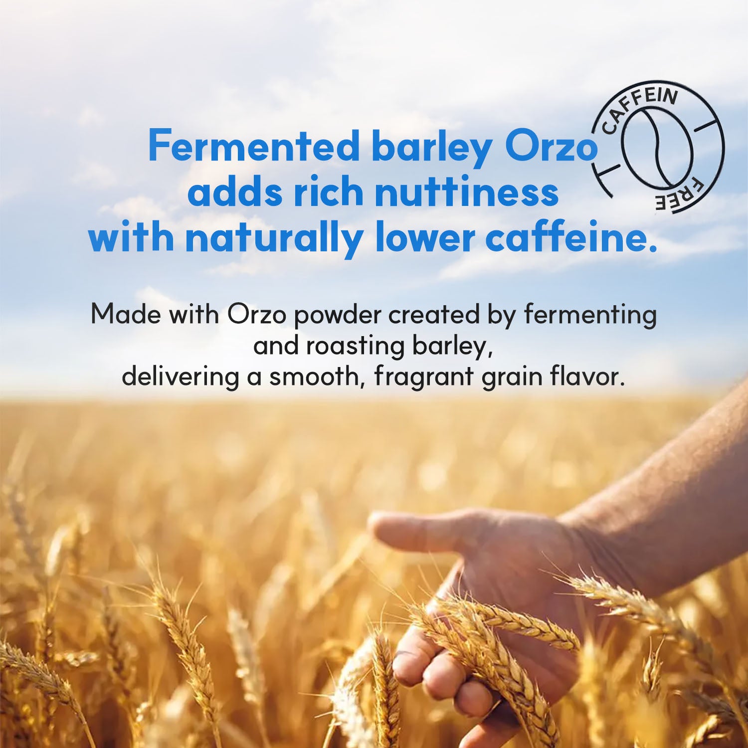 MAYREVE SSO–OK Slim VEI