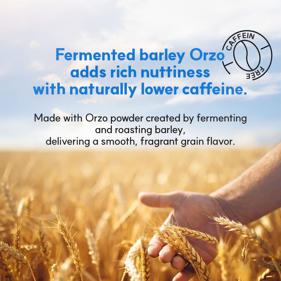 MAYREVE SSO–OK Slim VEI