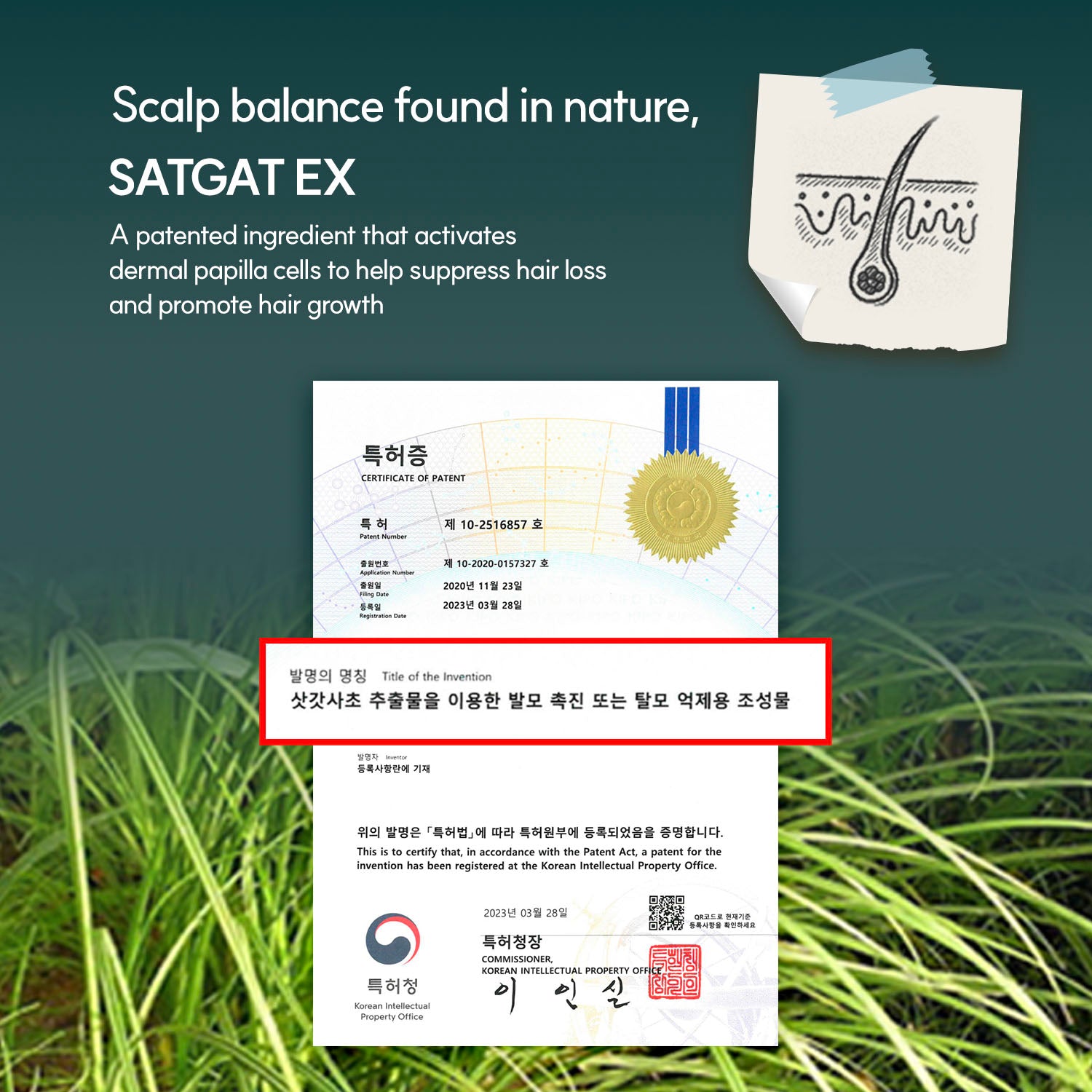 MAYREVE Regrown Sprout Ampoule