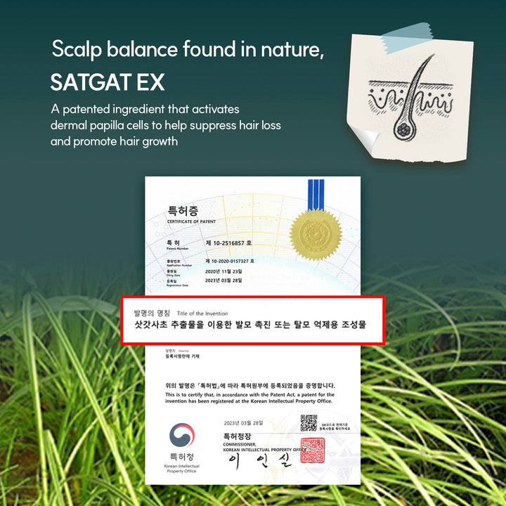 MAYREVE Nourishing & Scalp Care Shampoo - 450 ml