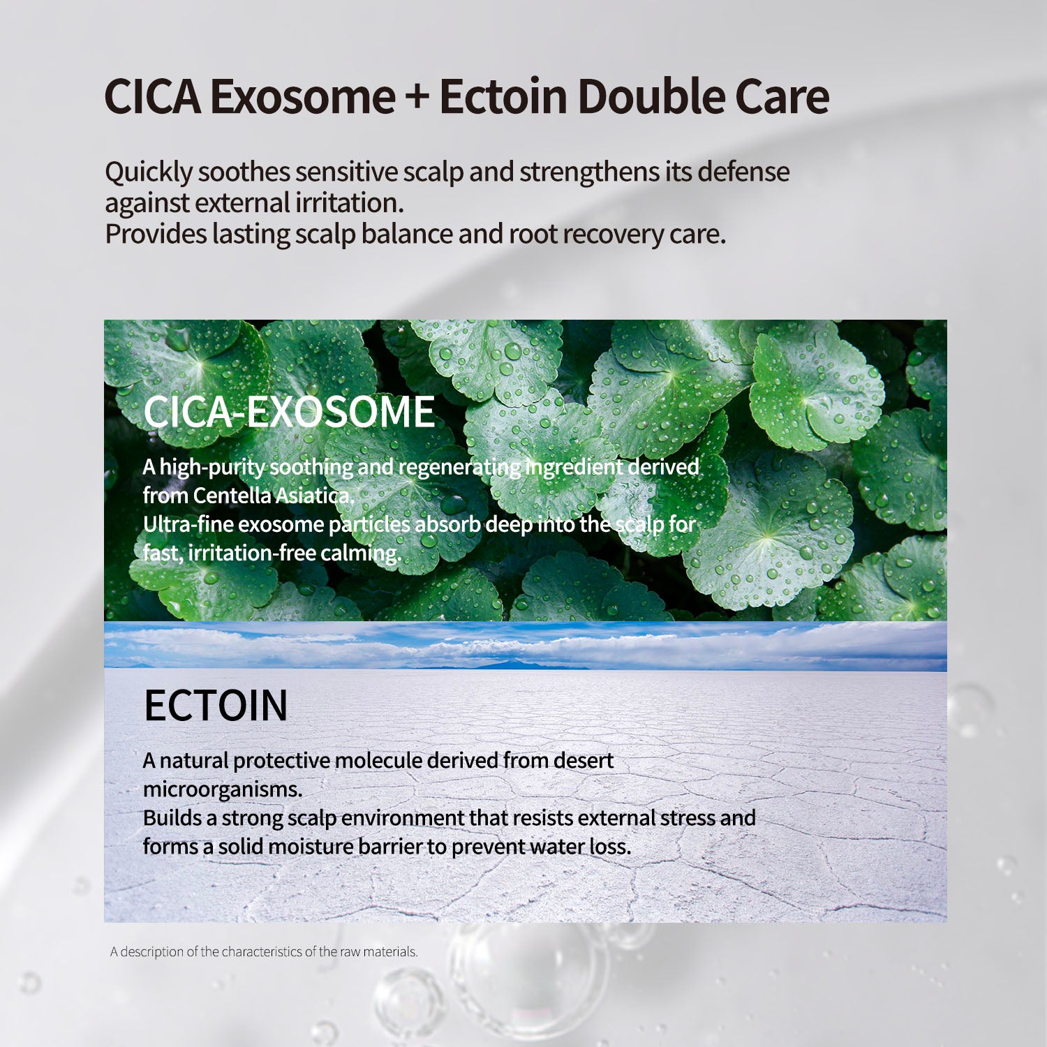 MAYREVE Nourishing & Scalp Care Treatment