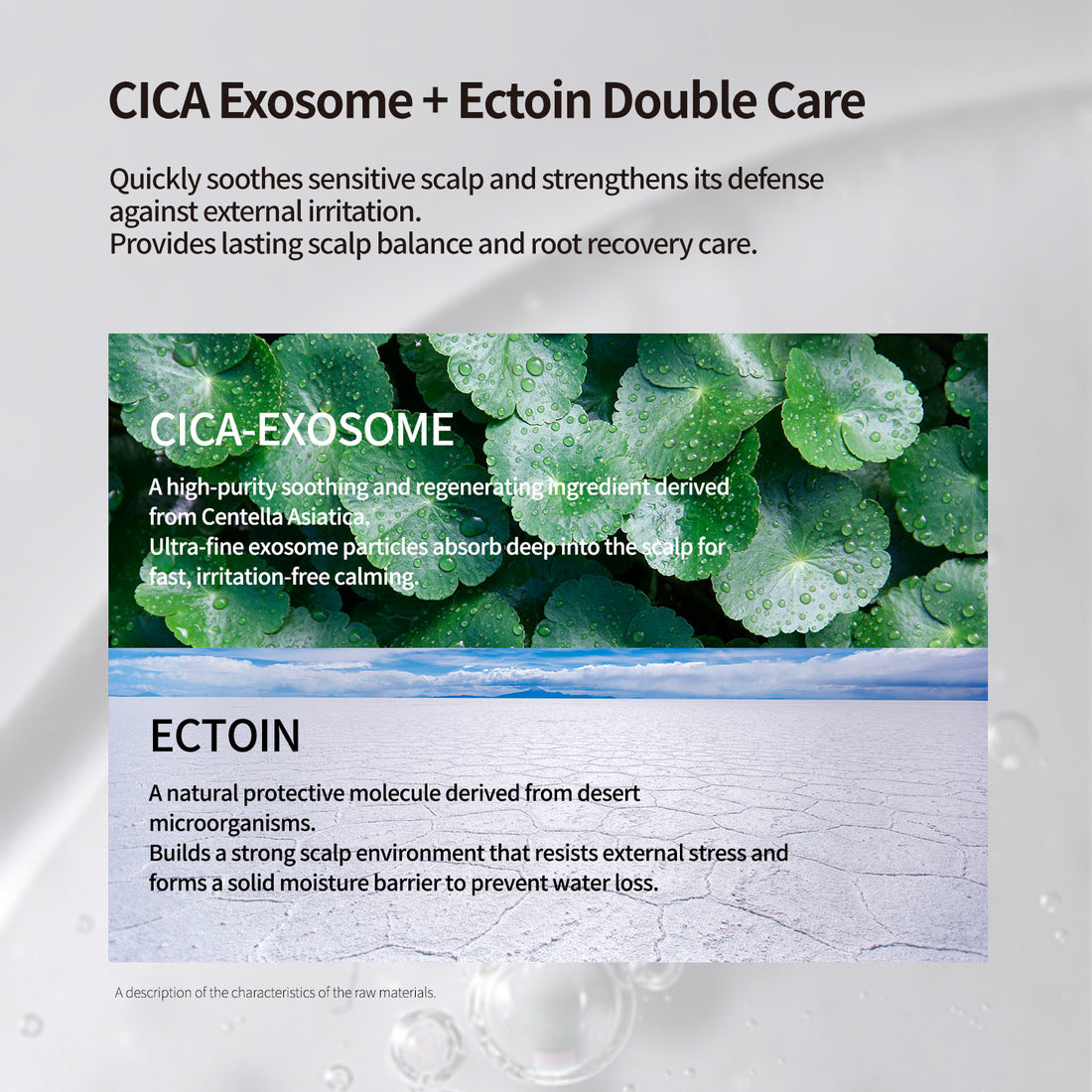 MAYREVE Nourishing & Scalp Care Shampoo - 450 ml