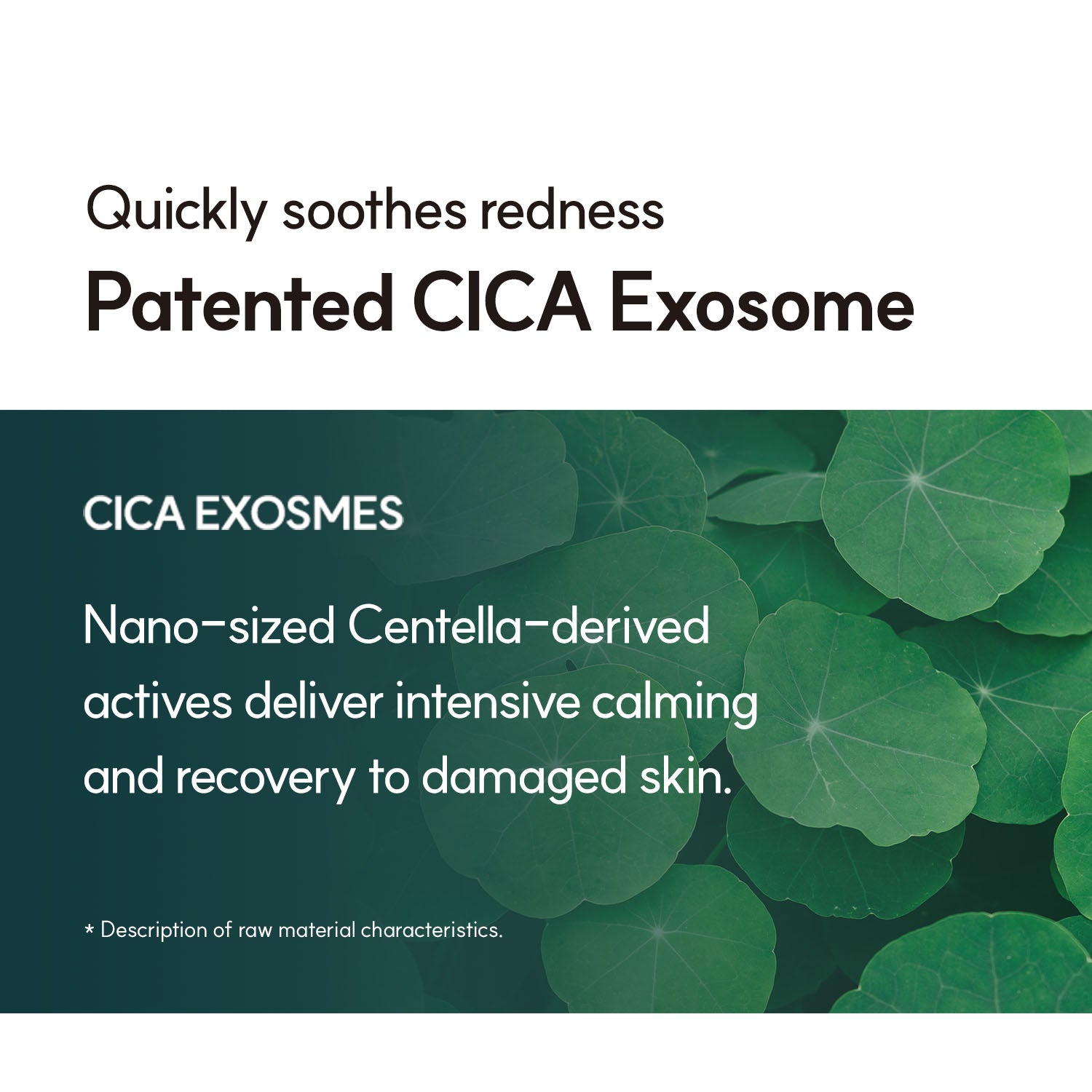 MAYREVE ExoLab Red Care Cream