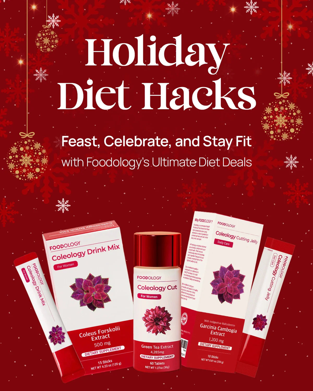 Drink Mix Bottle (Red, 16.9fl oz)